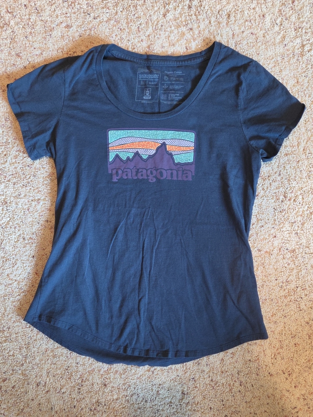 Patagonia Navy Graphic Mountain Logo Tee
